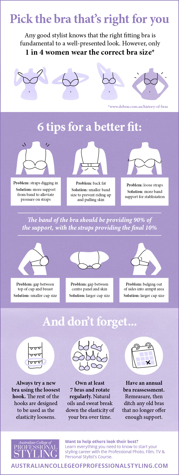 Professional styling bra fitting infographic